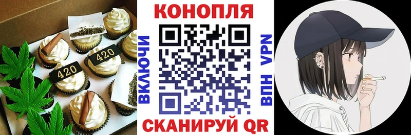 гидра ONION  купить   маркетплейс Telegram  Canna-Cookies конопля  Шилка 
