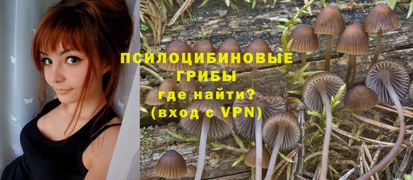 первитин Абаза