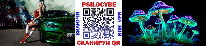наркошоп  Шилка  Псилоцибиновые грибы Psilocybe 